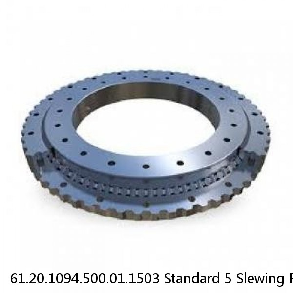 61.20.1094.500.01.1503 Standard 5 Slewing Ring Bearings