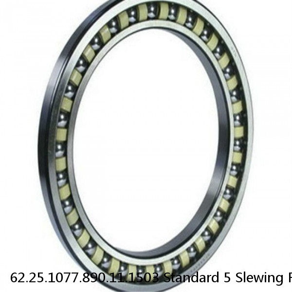 62.25.1077.890.11.1503 Standard 5 Slewing Ring Bearings #1 small image