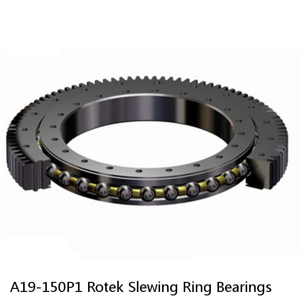 A19-150P1 Rotek Slewing Ring Bearings #1 small image