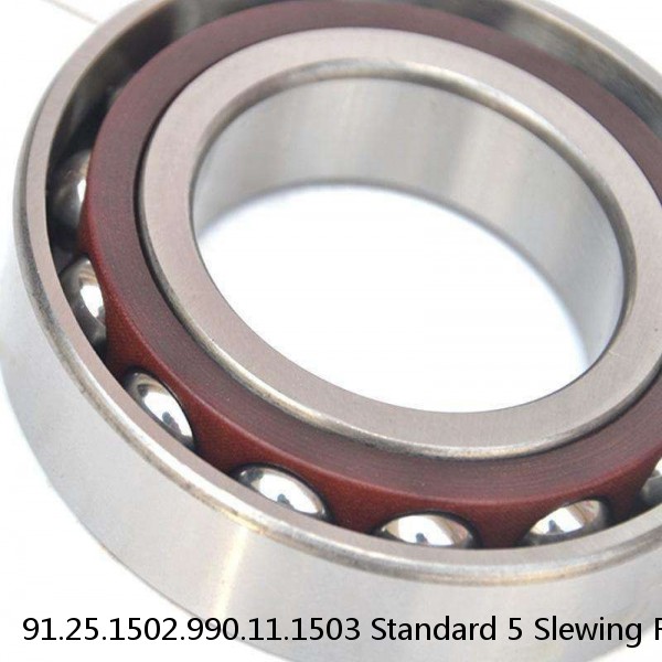 91.25.1502.990.11.1503 Standard 5 Slewing Ring Bearings #1 small image