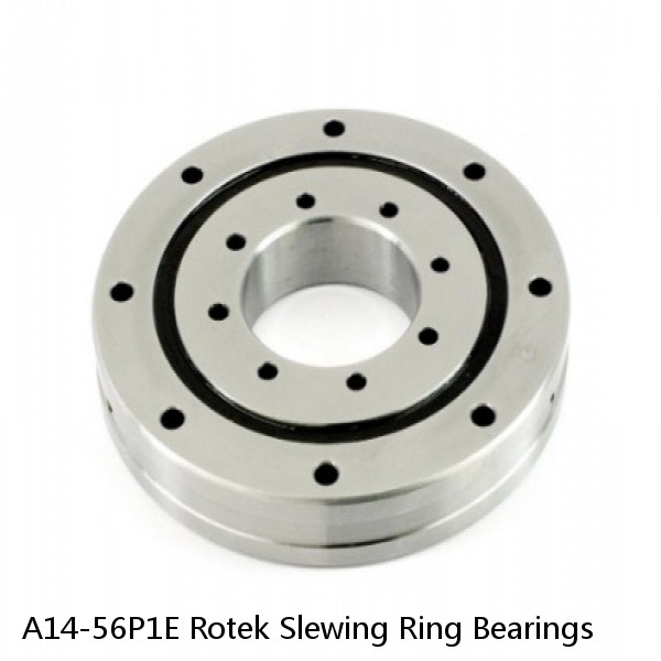A14-56P1E Rotek Slewing Ring Bearings #1 small image