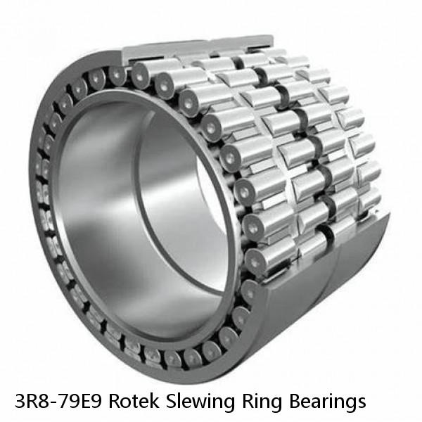 3R8-79E9 Rotek Slewing Ring Bearings #1 small image