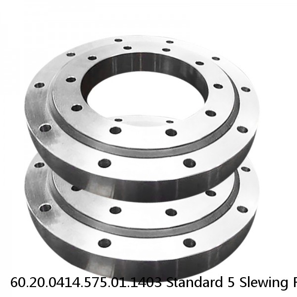 60.20.0414.575.01.1403 Standard 5 Slewing Ring Bearings #1 small image