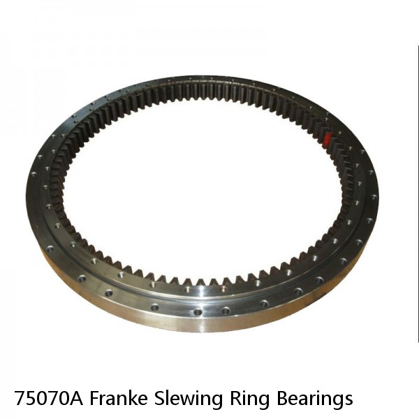 75070A Franke Slewing Ring Bearings #1 small image