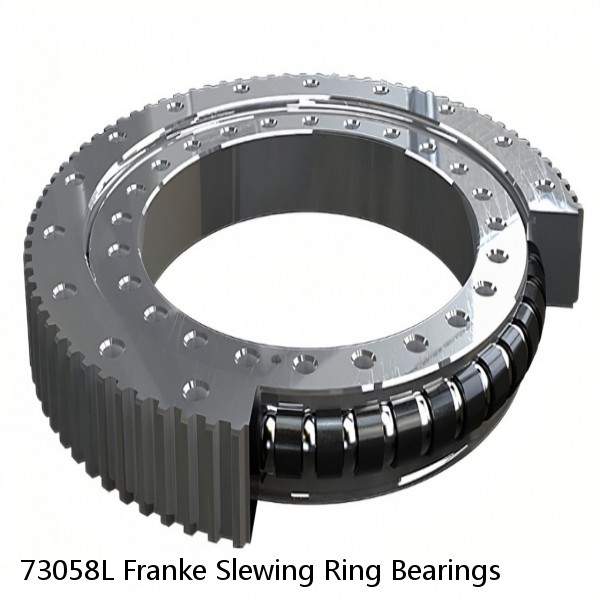73058L Franke Slewing Ring Bearings #1 small image