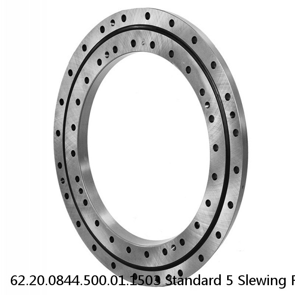 62.20.0844.500.01.1503 Standard 5 Slewing Ring Bearings #1 image