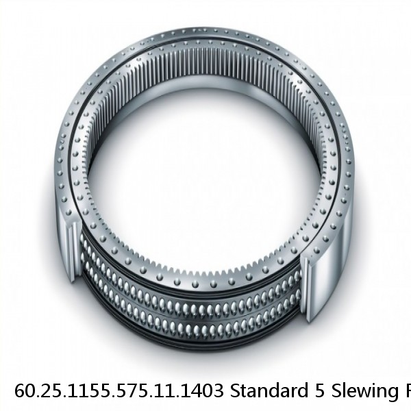 60.25.1155.575.11.1403 Standard 5 Slewing Ring Bearings #1 image