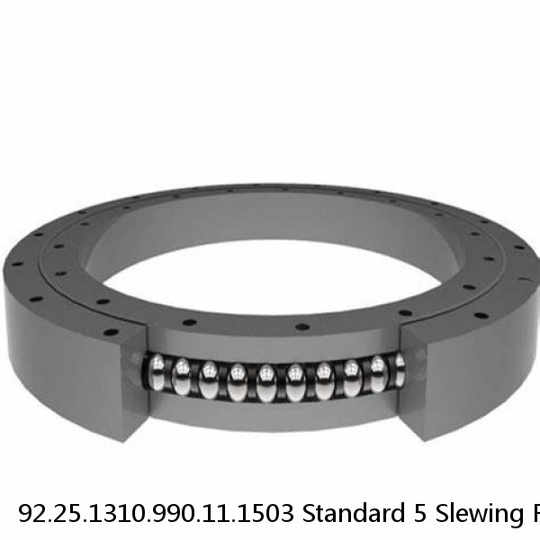 92.25.1310.990.11.1503 Standard 5 Slewing Ring Bearings #1 image