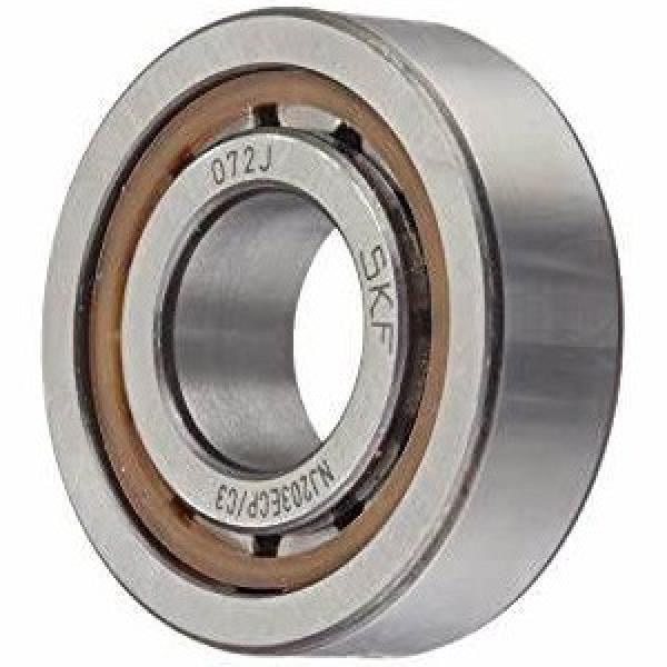 Nu/Nj/N/Nup/203 Motorcycle/Auto Parts Cylindrical Roller Bearing #1 image
