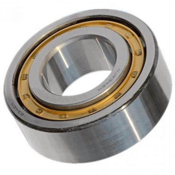 Chinese Manufactory of Cylindrical Roller Bearing (N 324 EM) #1 image