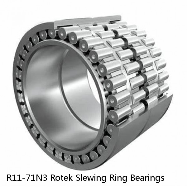 R11-71N3 Rotek Slewing Ring Bearings #1 image