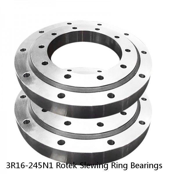 3R16-245N1 Rotek Slewing Ring Bearings #1 image