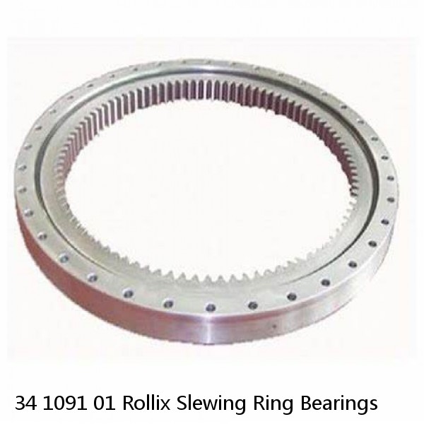 34 1091 01 Rollix Slewing Ring Bearings #1 image