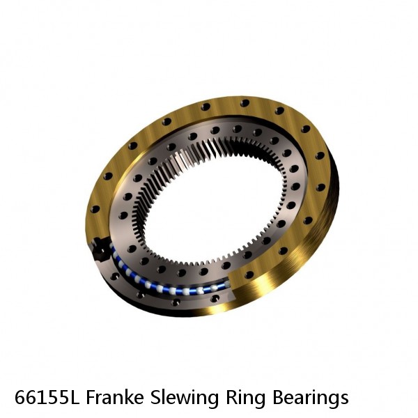 66155L Franke Slewing Ring Bearings #1 image