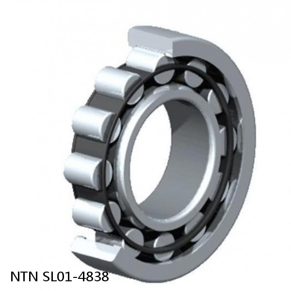 SL01-4838 NTN Cylindrical Roller Bearing #1 image