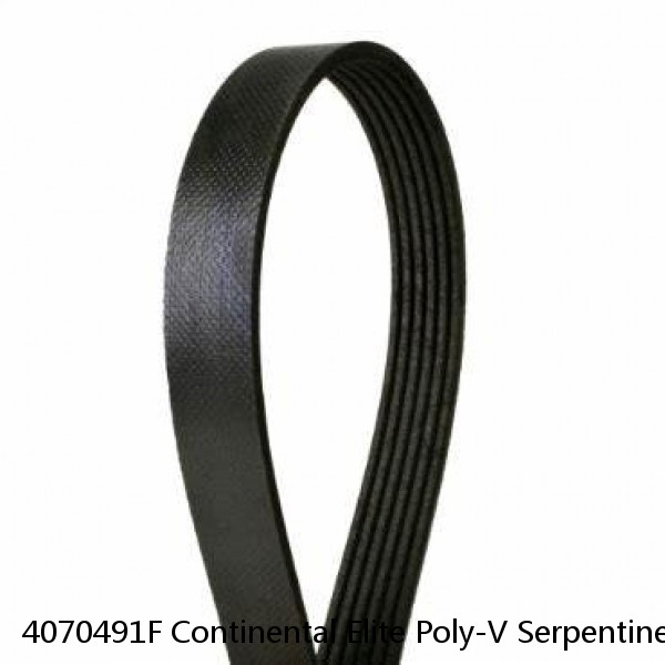 4070491F Continental Elite Poly-V Serpentine Belt Free Shipping Free Returns #1 image