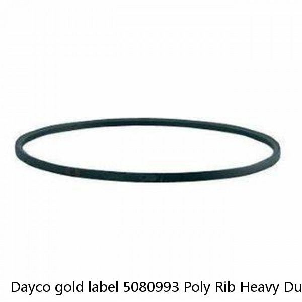 Dayco gold label 5080993 Poly Rib Heavy Duty Belt 8pk2520 ~ FORD F-150 5.4L #1 image