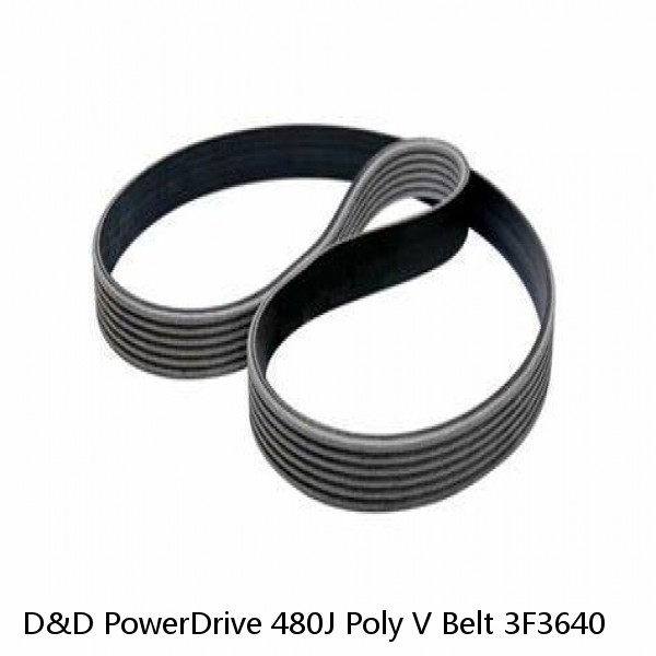 D&D PowerDrive 480J Poly V Belt 3F3640 #1 image