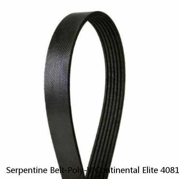 Serpentine Belt-Poly-V Continental Elite 4081265F #1 image